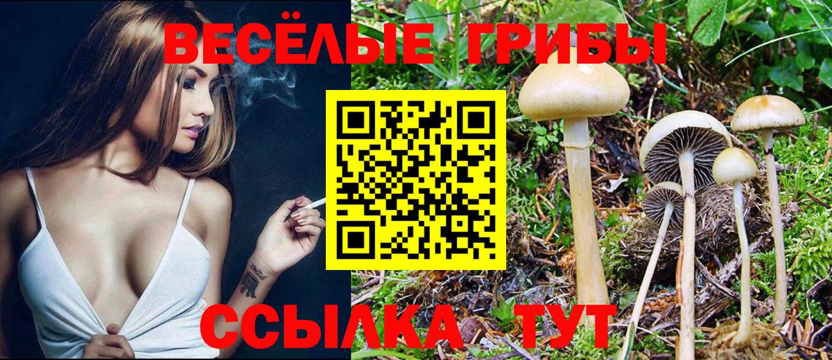 Псилоцибиновые грибы Psilocybine cubensis  Галлюциногенные грибы Magic Shrooms  Усть-Илимск  Вход с VPN 
