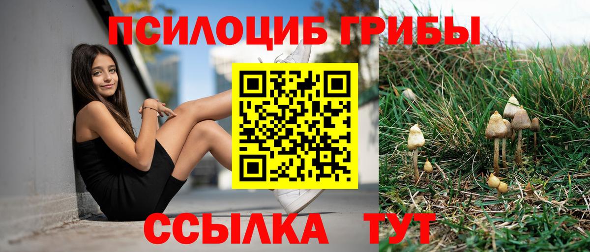 Галлюциногенные грибы прущие грибы Усть-Илимск